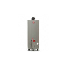 Rheem Calentador de Agua 29V20S, Gas L.P.,...