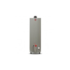 Rheem Calentador de Agua 29V40, Gas...